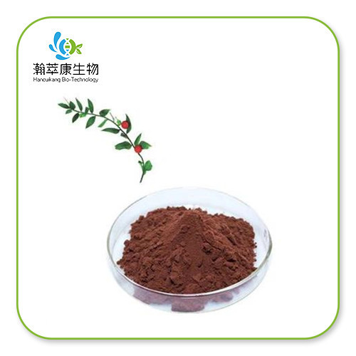 Ruscogenin Powder manufacturers